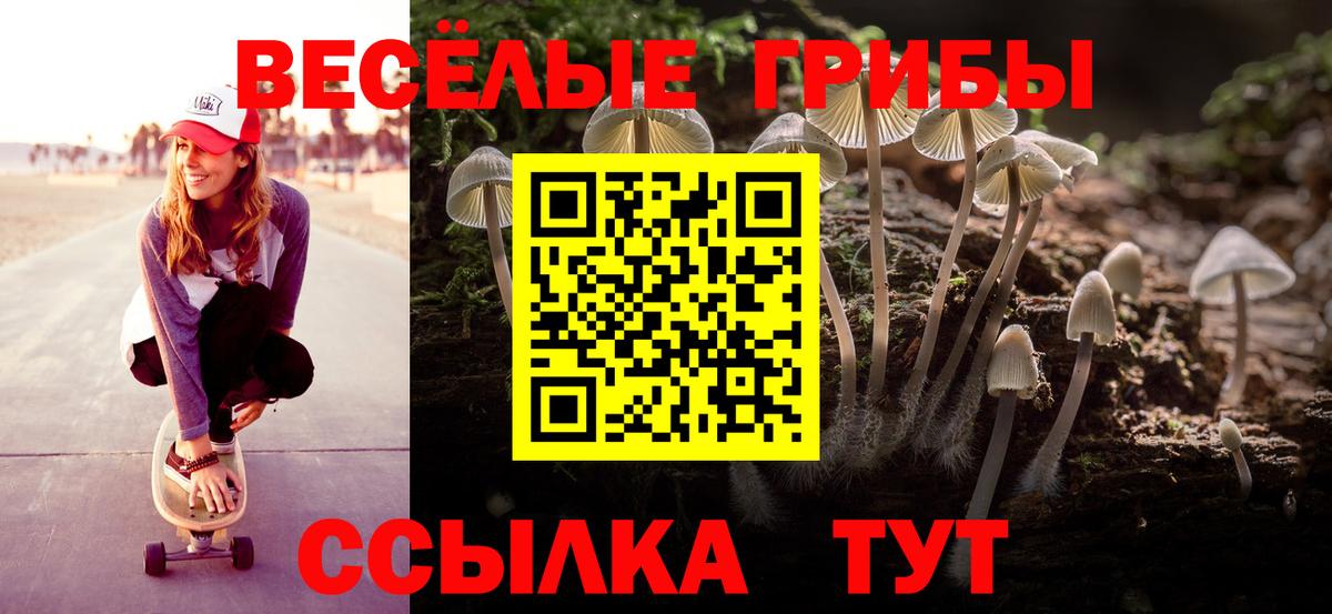 Галлюциногенные грибы Psilocybine cubensis Томск