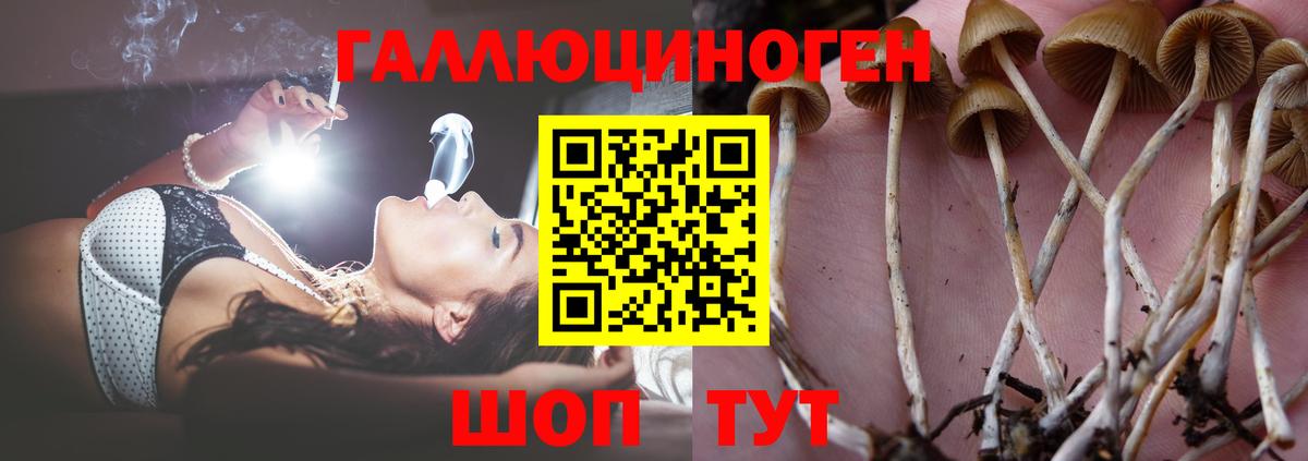 Томск  Псилоцибиновые грибы ЛСД  Псилоцибиновые грибы Magic Shrooms  Вход с VPN 